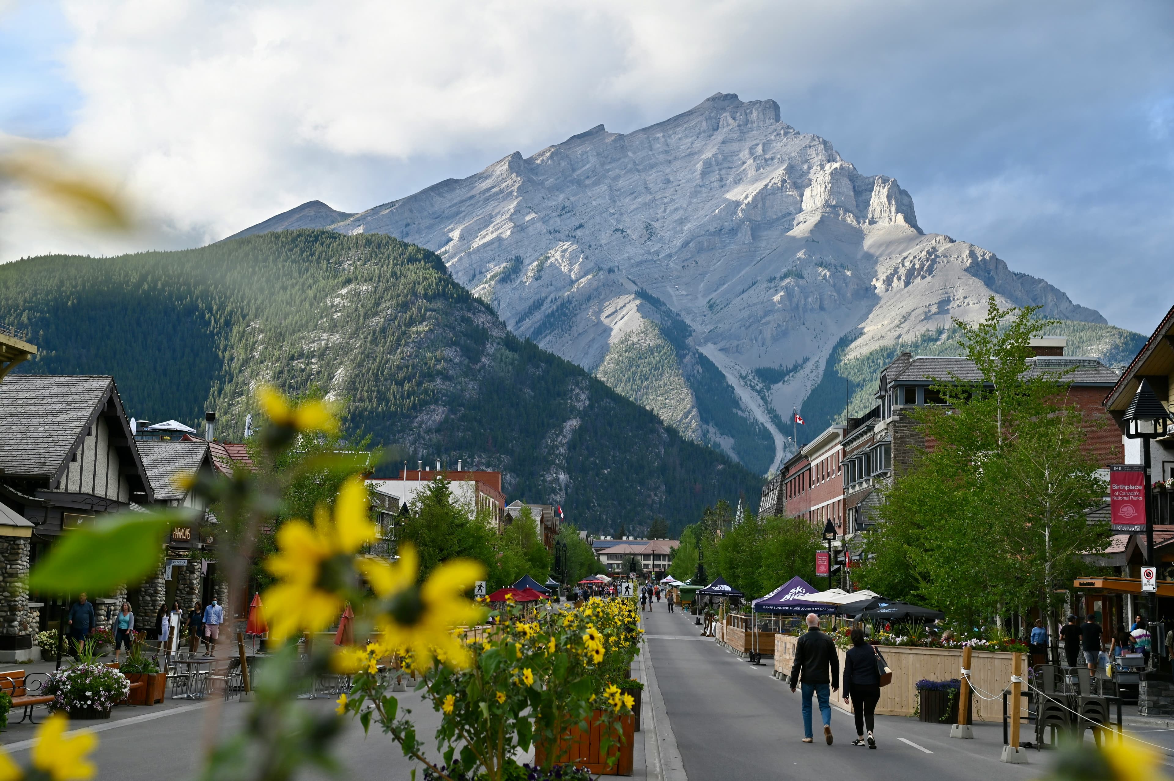 AI Visibility for Hotels in Banff