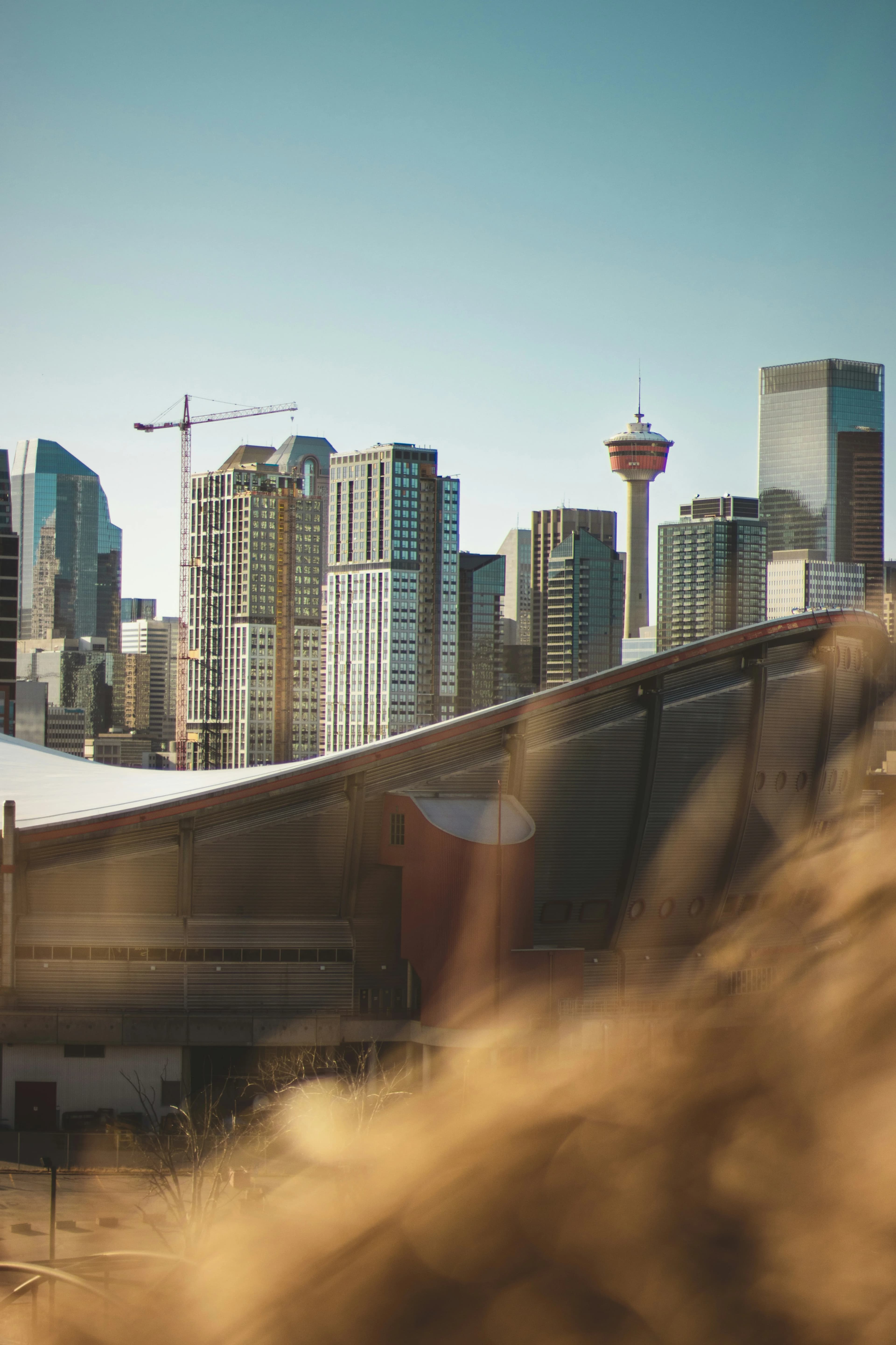 Calgary Building Permits 2026: What's Active and How to Use the Data
